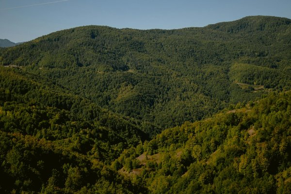 Les parfums similaires : le luxe accessible pour tous !