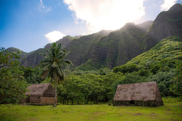 Quels sont les enjeux de la préservation des langues menacées de disparition en Polynésie ?