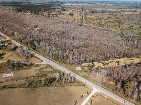 Comment cultiver des plantes aromatiques en intérieur pour une cuisine fraîche et parfumée ?